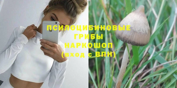 бутират Алзамай