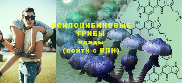бутират Алзамай
