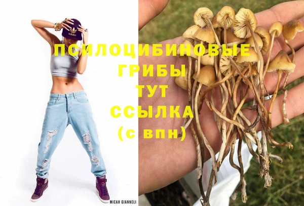 шишки Алексеевка